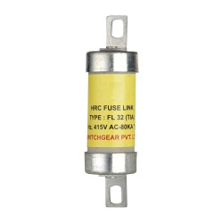 4029 FUSE 30AMP