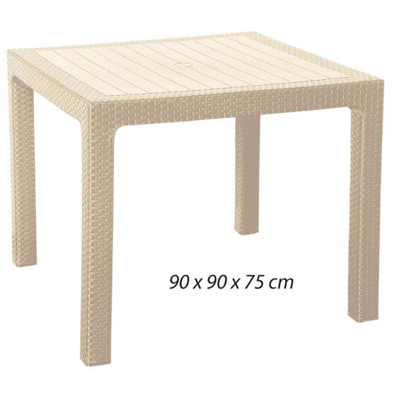 323 PLASTIC TABLE 90*90*75