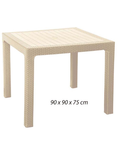 323 PLASTIC TABLE 90*90*75