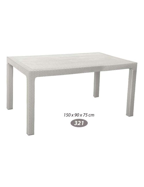 321 PLASTIC TABLE 150*90*75
