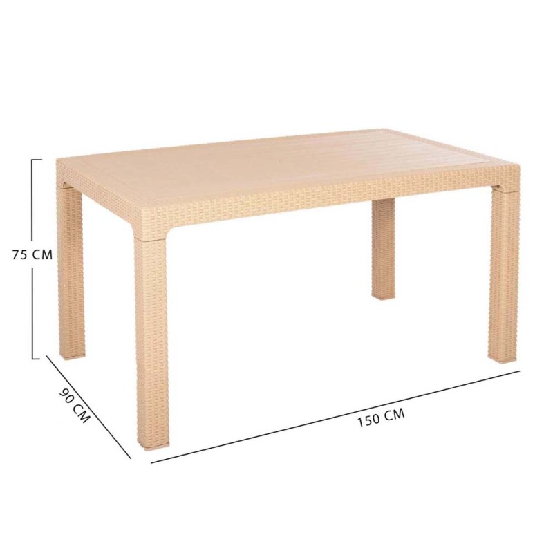 321 PLASTIC TABLE 150*90*75