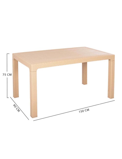 321 PLASTIC TABLE 150*90*75