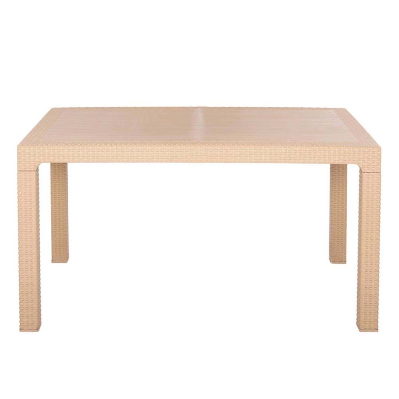 321 PLASTIC TABLE 150*90*75