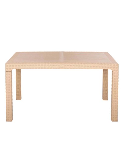 321 PLASTIC TABLE 150*90*75