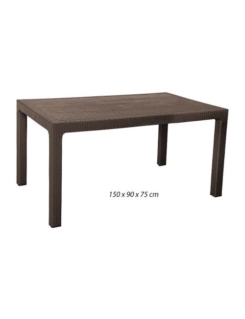 321 PLASTIC TABLE 150*90*75
