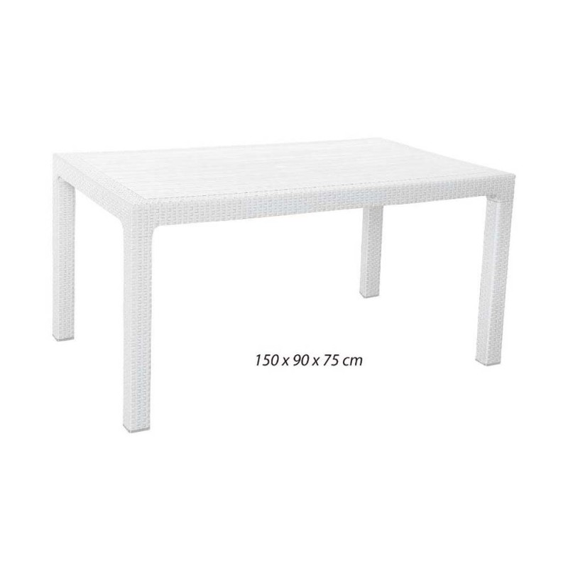 321 PLASTIC TABLE 150*90*75