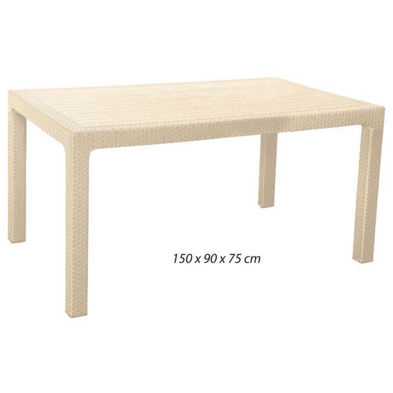 321 PLASTIC TABLE 150*90*75
