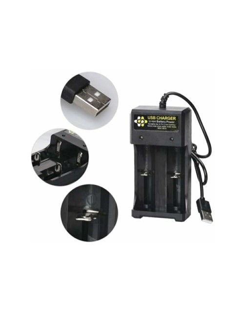 BH-042100 BATTERY CHARGER 5 VOLT