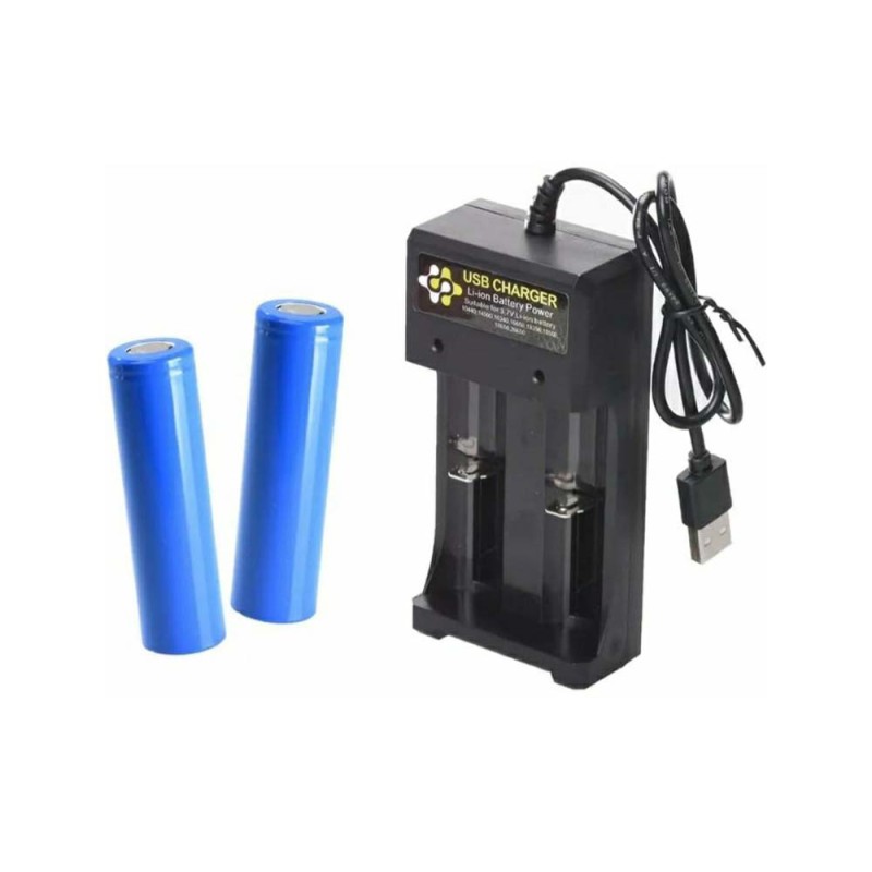BH-042100 BATTERY CHARGER 5 VOLT