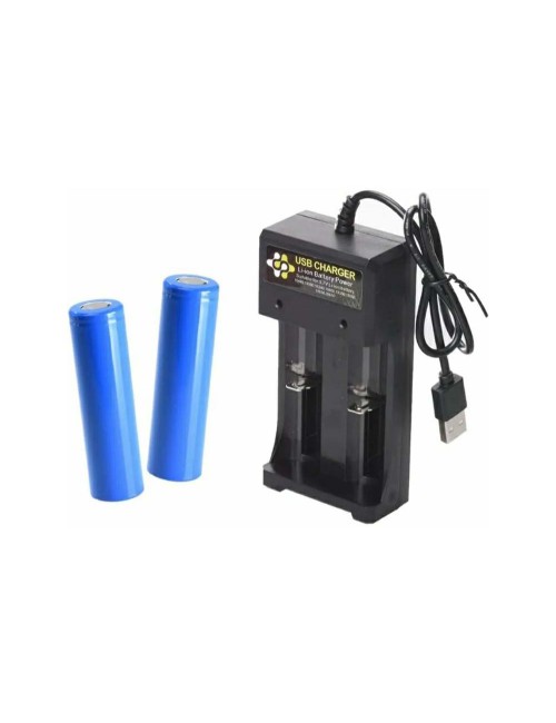 BH-042100 BATTERY CHARGER 5 VOLT
