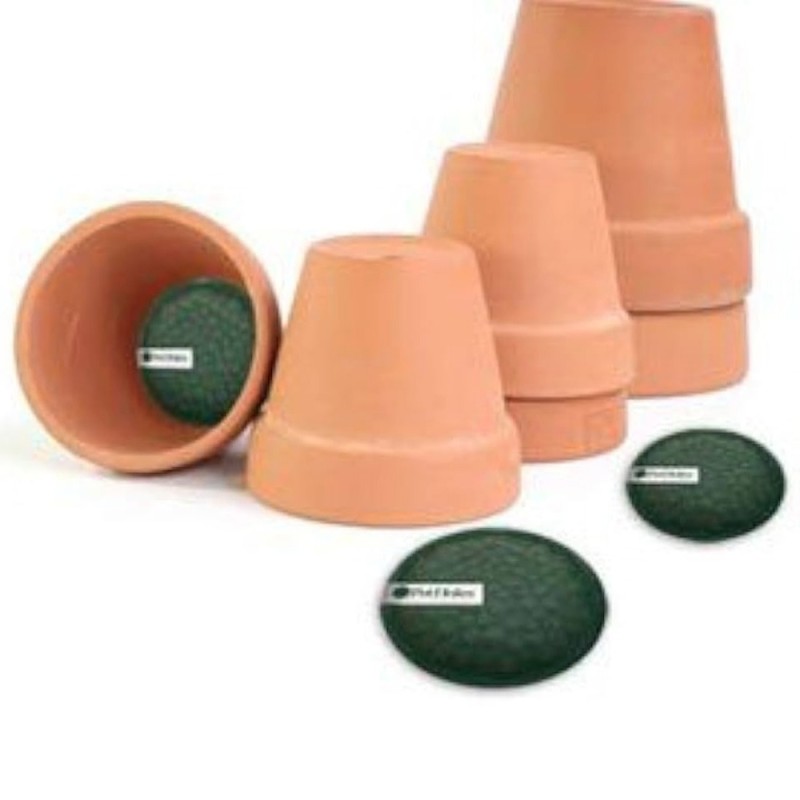 PLANT POT