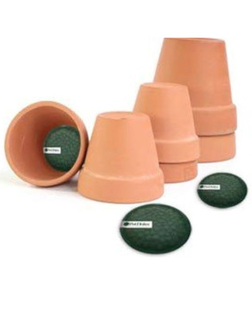 PLANT POT