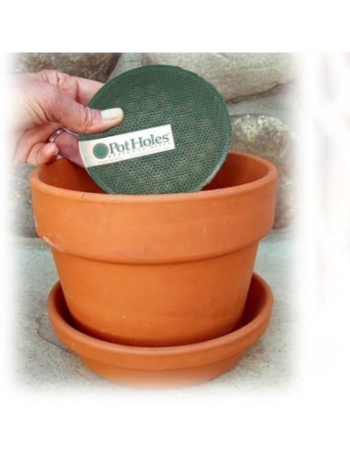 PLANT POT