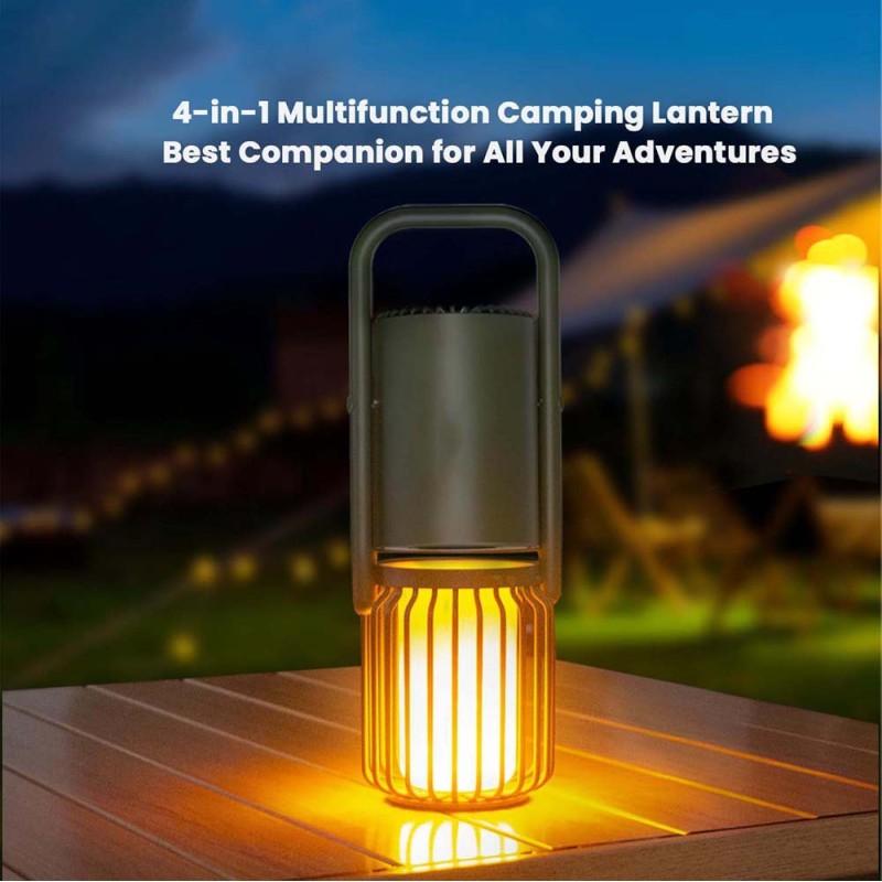 SPEAKER WITH LIGHT AND POWER BANK