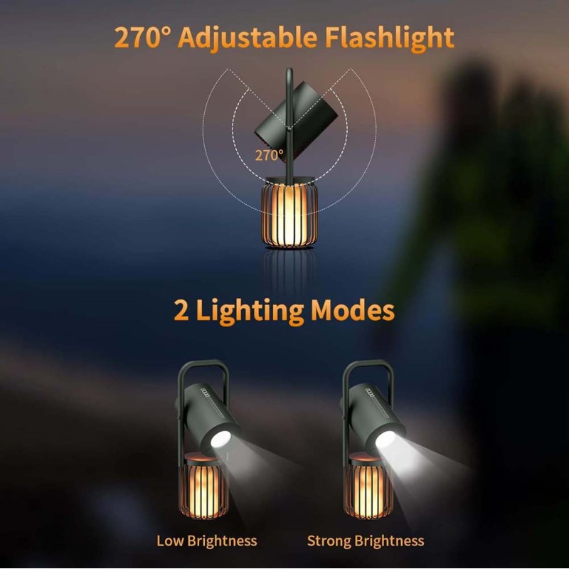 SPEAKER WITH LIGHT AND POWER BANK