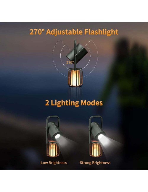 SPEAKER WITH LIGHT AND POWER BANK