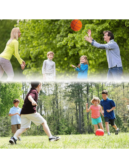 BB6830 3 BASKET BALL