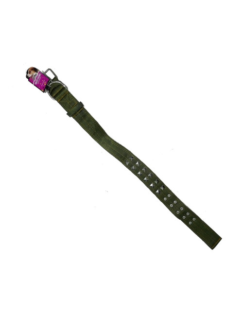 طوق كلب خام CHN