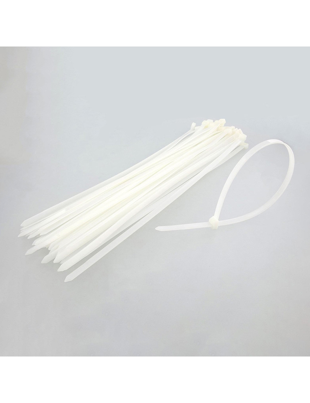 2954 SCAME CABLE TIE