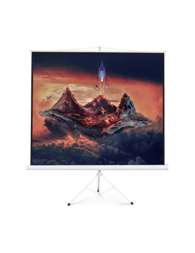 PORTABLE PROJECTION SCREEN 200CM X 200CM