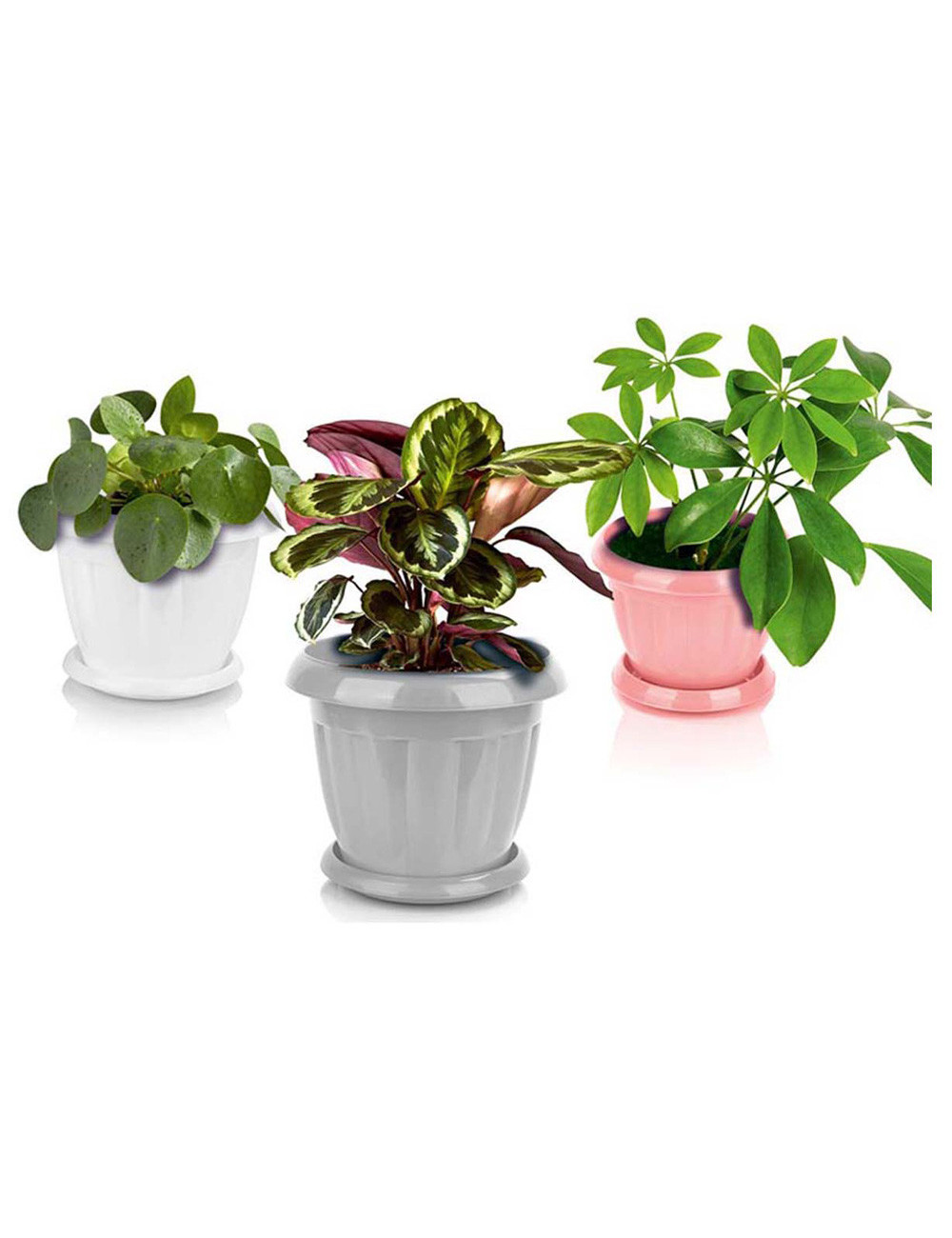 9007 FLOWER POT KESHAWARZ SIZE 7
