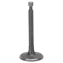 TNG-8800 INTAKE VALVE AND EXHAUST VALVE قطع غيار ماكينة تايجر