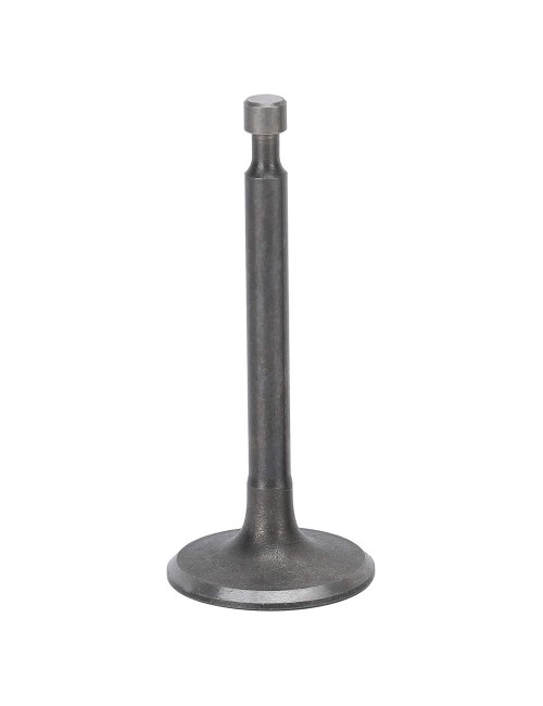 TNG-8800 INTAKE VALVE AND EXHAUST VALVE قطع غيار ماكينة تايجر
