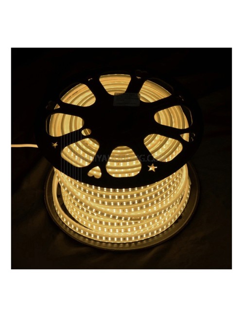 5730-50M SMD STRIP LIGHT DOUBLE 50M