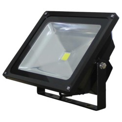 BLW030Y 30W RGB LED كشاف CHN