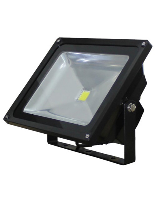 BLW030Y 30W RGB LED كشاف CHN