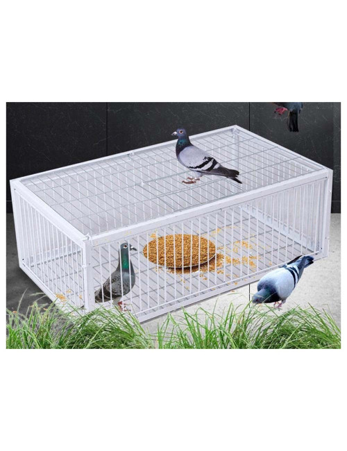 CM-144 PIGEON TRAP 70 X 30 X 26CM