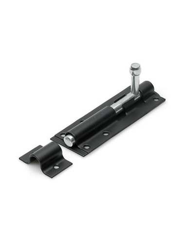 بلوط اسود "5 CHN