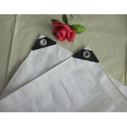 P.E. TARPAULIN 65 GSM 3 x 4 MTR
