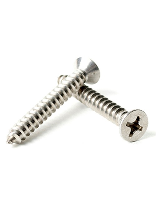 برغي سن صاج مسح فيلبس 1"×6 TWN