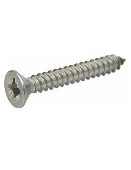 PHILLIPS SELF TAPPING SCREW 1" x 12