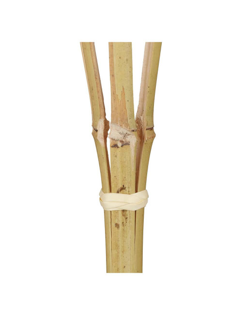 BAMBOO CAMPING FIRE TORCH 4