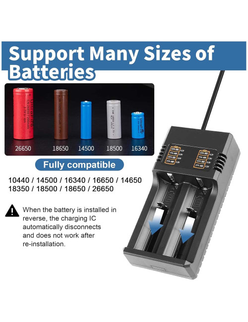 MS-5DP2 BATTERY CHARGER 2000MA