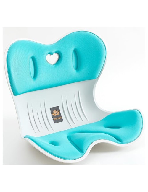 1003-1 SEAT CUSHION سنادة كرسي جيشي