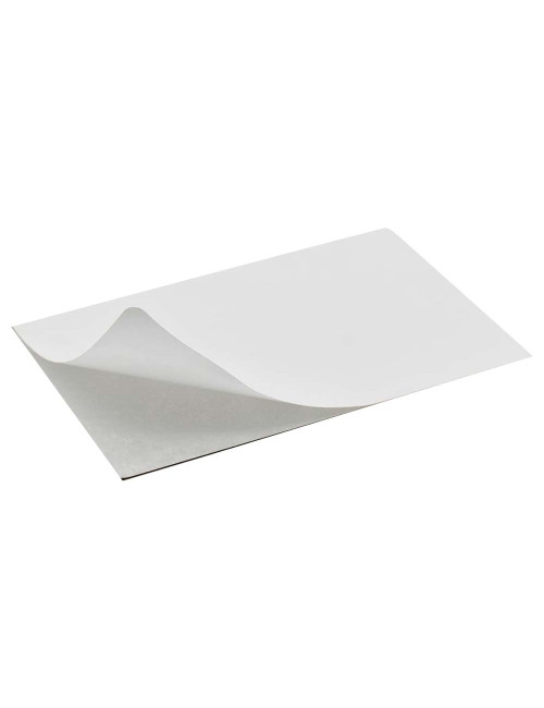 HORIZONTAL STCIKER 20 X 30CM CCTV H.D استيكر