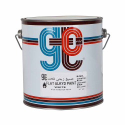 GTC MATT ENAMEL PAINT WHITE GALLON