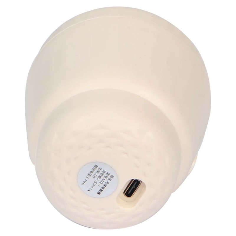 MQ-1 LINT REMOVER
