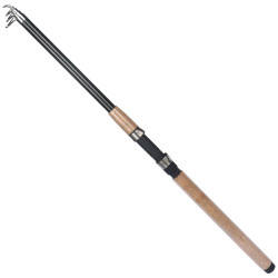 -62 TWO SECTION HANDLE TELESCOPIC FISHING ROD 3.0M