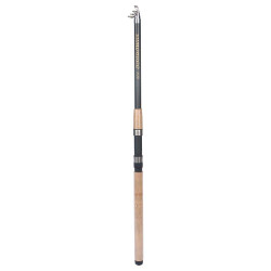 -62 TWO SECTION HANDLE TELESCOPIC FISHING ROD 3.0M