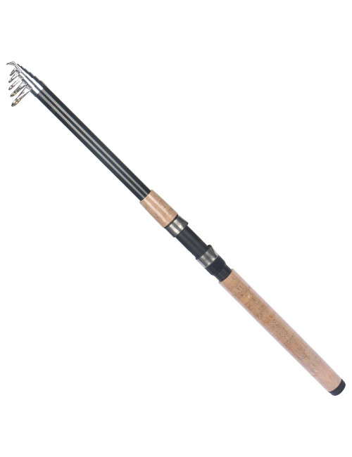 -65 TWO SECTION HANDLE TELESCOPIC FISHING ROD 4.2M