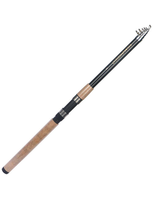 -65 TWO SECTION HANDLE TELESCOPIC FISHING ROD 4.2M