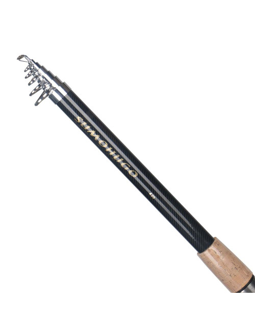 -65 TWO SECTION HANDLE TELESCOPIC FISHING ROD 4.2M