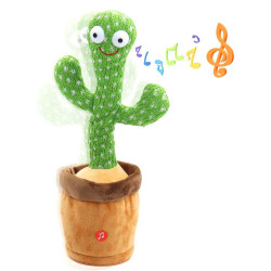 الصبارة الراقصة