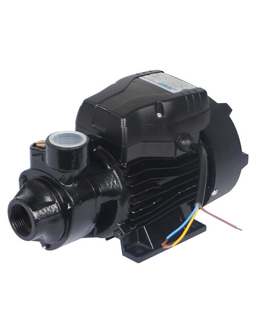 PKM 60 WATER PUMP 0.5 HP