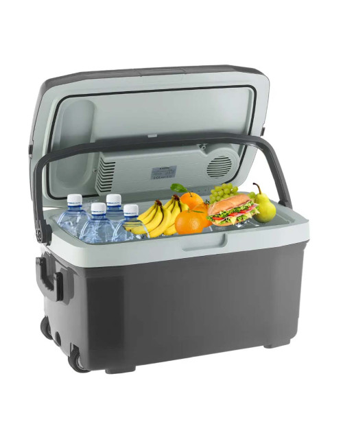 Fridge Cool & Warm 45L AC/DC- RFG4045 - CHN