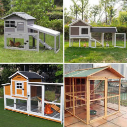 شبك غربال جلفنايز 12×12×26×1متر×25متر CHN